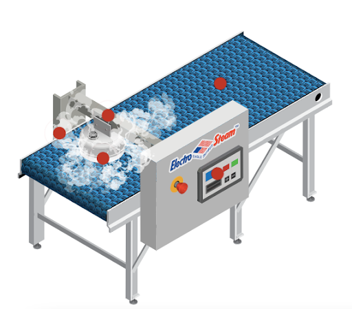 Electro-Steam Belt Steamer