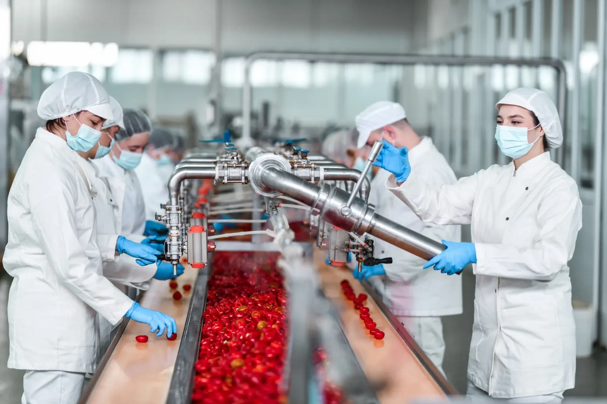 Food Processing - Fruit & Veg