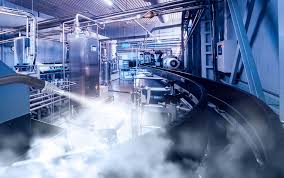 Menikini Dry Steam Food Plant